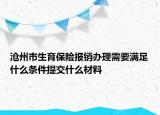 滄州市生育保險報銷辦理需要滿足什么條件提交什么材料