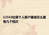 12333社保個(gè)人賬戶查詢?cè)趺床橛袔讉€(gè)檔次