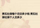 黃石社保每個(gè)月交多少錢 黃石社保社保個(gè)人交多少