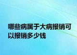 哪些病屬于大病報(bào)銷可以報(bào)銷多少錢