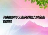 湖南醫(yī)保怎么查詢微信支付寶查詢流程