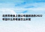 北京養(yǎng)老金上調(diào)公布最新消息2022年是什么養(yǎng)老金怎么補發(fā)