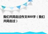 我們共同走過作文800字（我們共同走過）