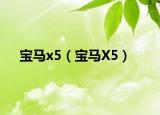 寶馬x5（寶馬X5）