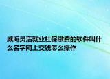 威海靈活就業(yè)社保繳費(fèi)的軟件叫什么名字網(wǎng)上交錢怎么操作