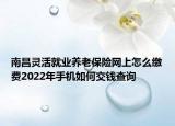 南昌靈活就業(yè)養(yǎng)老保險(xiǎn)網(wǎng)上怎么繳費(fèi)2022年手機(jī)如何交錢查詢