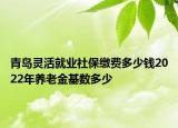 青島靈活就業(yè)社保繳費多少錢2022年養(yǎng)老金基數(shù)多少