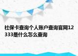 社?？ú樵儌€人賬戶查詢官網(wǎng)12333是什么怎么查詢