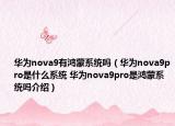 華為nova9有鴻蒙系統(tǒng)嗎（華為nova9pro是什么系統(tǒng) 華為nova9pro是鴻蒙系統(tǒng)嗎介紹）