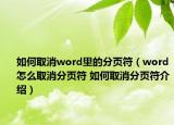 如何取消word里的分頁(yè)符（word怎么取消分頁(yè)符 如何取消分頁(yè)符介紹）