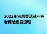 2022年宜昌靈活就業(yè)養(yǎng)老保險繳費流程