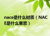 nace是什么材質(zhì)（NACE是什么意思）