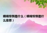 纏綿悱惻是什么（纏綿悱惻是什么意思）