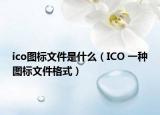 ico圖標(biāo)文件是什么（ICO 一種圖標(biāo)文件格式）