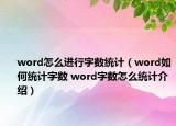 word怎么進(jìn)行字?jǐn)?shù)統(tǒng)計(jì)（word如何統(tǒng)計(jì)字?jǐn)?shù) word字?jǐn)?shù)怎么統(tǒng)計(jì)介紹）