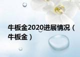 牛板金2020進(jìn)展情況（牛板金）