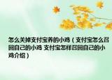 怎么關掉支付寶養(yǎng)的小雞（支付寶怎么召回自己的小雞 支付寶怎樣召回自己的小雞介紹）