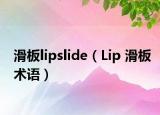 滑板lipslide（Lip 滑板術(shù)語）