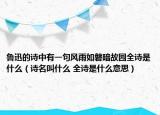 魯迅的詩中有一句風雨如磐暗故園全詩是什么（詩名叫什么 全詩是什么意思）