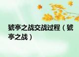 猇亭之戰(zhàn)交戰(zhàn)過程（猇亭之戰(zhàn)）