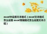 excel中設(shè)置文本格式（excel文本格式怎么設(shè)置 excel常規(guī)格式怎么設(shè)置文本介紹）