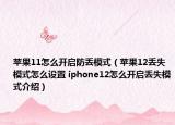 蘋果11怎么開啟防丟模式（蘋果12丟失模式怎么設(shè)置 iphone12怎么開啟丟失模式介紹）