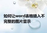 如何讓word表格插入不完整的圖片顯示