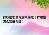 辭職信怎么寫霸氣簡(jiǎn)短（辭職信怎么寫最合適）