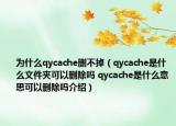 為什么qycache刪不掉（qycache是什么文件夾可以刪除嗎 qycache是什么意思可以刪除嗎介紹）