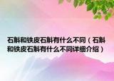 石斛和鐵皮石斛有什么不同（石斛和鐵皮石斛有什么不同詳細(xì)介紹）