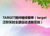 TARGET娓呯畻緋葷粺（target 泛歐實(shí)時全額自動清算系統(tǒng)）