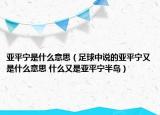 亞平寧是什么意思（足球中說的亞平寧又是什么意思 什么又是亞平寧半島）