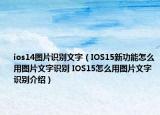 ios14圖片識別文字（IOS15新功能怎么用圖片文字識別 IOS15怎么用圖片文字識別介紹）