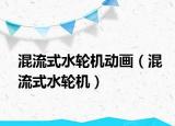 混流式水輪機(jī)動畫（混流式水輪機(jī)）
