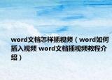 word文檔怎樣插視頻（word如何插入視頻 word文檔插視頻教程介紹）