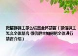 微信群群主怎么設(shè)置全體禁言（微信群主怎么全體禁言 微信群主如何把全體進行禁言介紹）