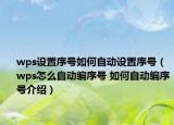 wps設置序號如何自動設置序號（wps怎么自動編序號 如何自動編序號介紹）