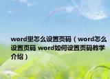 word里怎么設置頁碼（word怎么設置頁碼 word如何設置頁碼教學介紹）