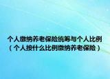 個人繳納養(yǎng)老保險統(tǒng)籌與個人比例（個人按什么比例繳納養(yǎng)老保險）