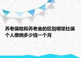 養(yǎng)老保險(xiǎn)和養(yǎng)老金的區(qū)別哪里社保個人繳納多少錢一個月