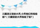 三國(guó)演義里的大喬,小喬他們各嫁給誰?（三國(guó)里的大喬嫁給了誰?）