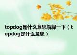 topdog是什么意思解釋一下（topdog是什么意思）