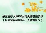 余額寶存入5000元每天能收益多少（余額寶存5000元一天收益多少）