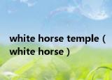 white horse temple（white horse）