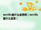 terrific是什么意思?。╰errific是什么意思）