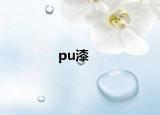 pu漆