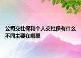 公司交社保和個人交社保有什么不同主要在哪里