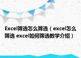 Excel篩選怎么篩選（excel怎么篩選 excel如何篩選教學(xué)介紹）