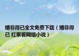 婚非得已全文免費下載（婚非得已 紅家著網絡小說）