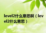 level2什么意思?。╨evel2什么意思）